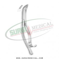 American Pattern Forceps