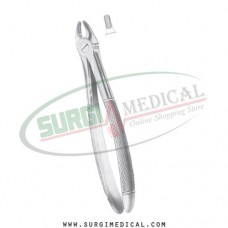 English Pattern Forceps