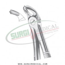 English Pattern Forceps