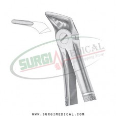 English Pattern Forceps