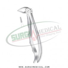 English Pattern Forceps