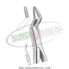 American Pattern Forceps