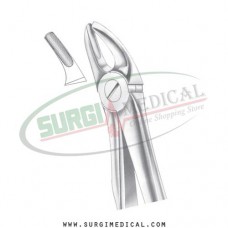 English Pattern Forceps