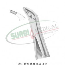 American Pattern Forceps