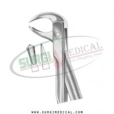 American Pattern Forceps